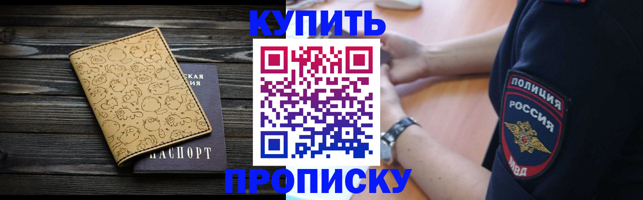 прописка гарантия в Новодвинске